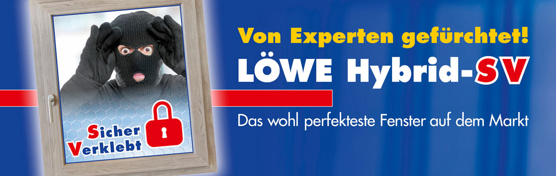 (c) Loewe-fenster.de